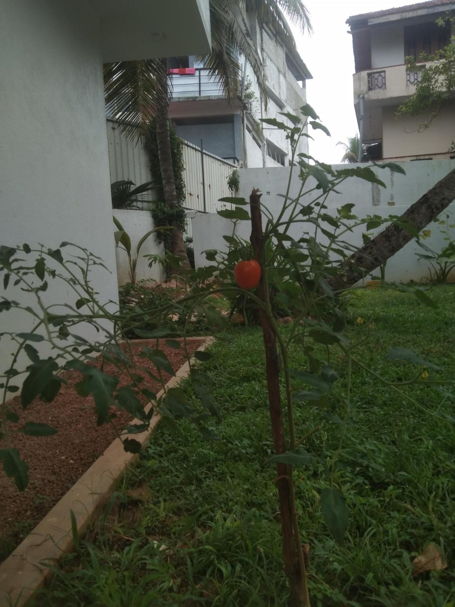 Ayu Hostel Ambalangoda  Exterior photo